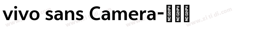 vivo sans Camera字体转换